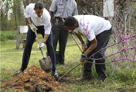 obama_planting_trees_z.jpg