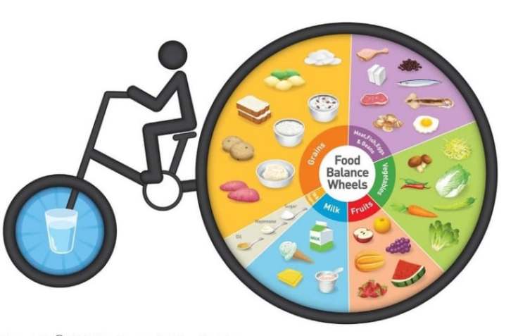 heres-what-food-guides-look-like-around-the-world-6