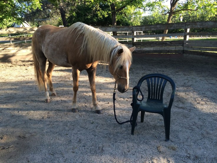 BLOG-PIC-SELF-LIMITING